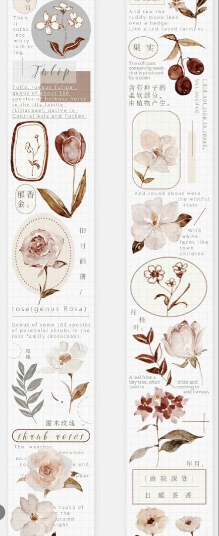 《在庫処分最終値下げ》海外 マスキングテープ雀斑茶 6点⚠️pet（33.324