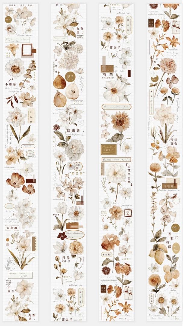 《在庫処分最終値下げ》海外 マスキングテープ雀斑茶 6点⚠️pet（33.324