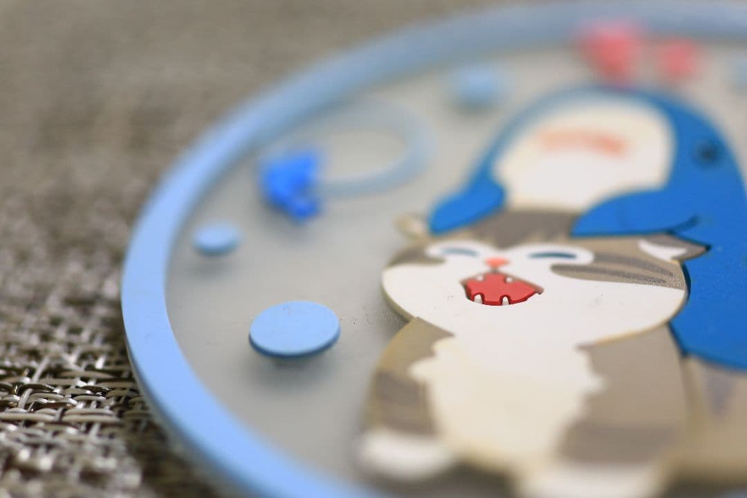 SIGMA 50mm F2.8 EX DG MACRO レンズ EFマウント