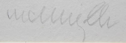 マックナイト【グリーンポーチ】 大版 シルクスクリーン