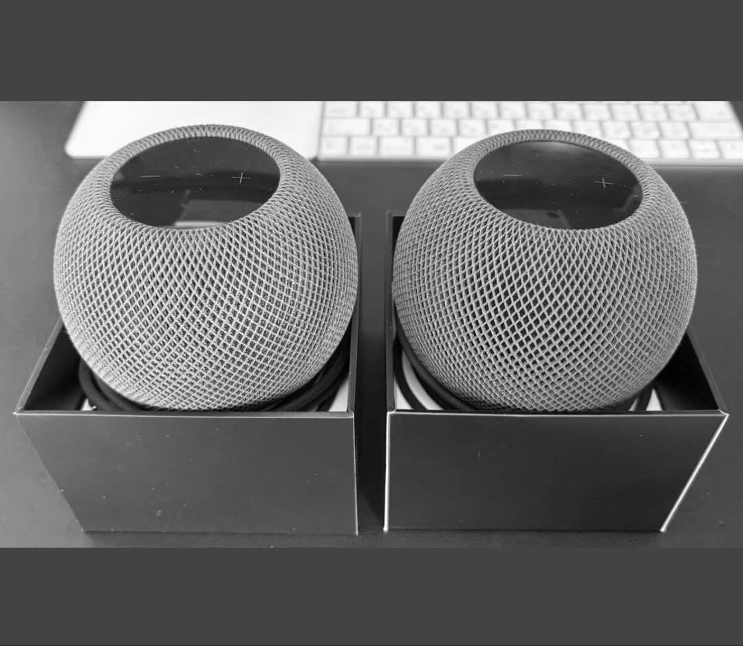 【美品】Apple Pod mini スペースグレイ （ペア）