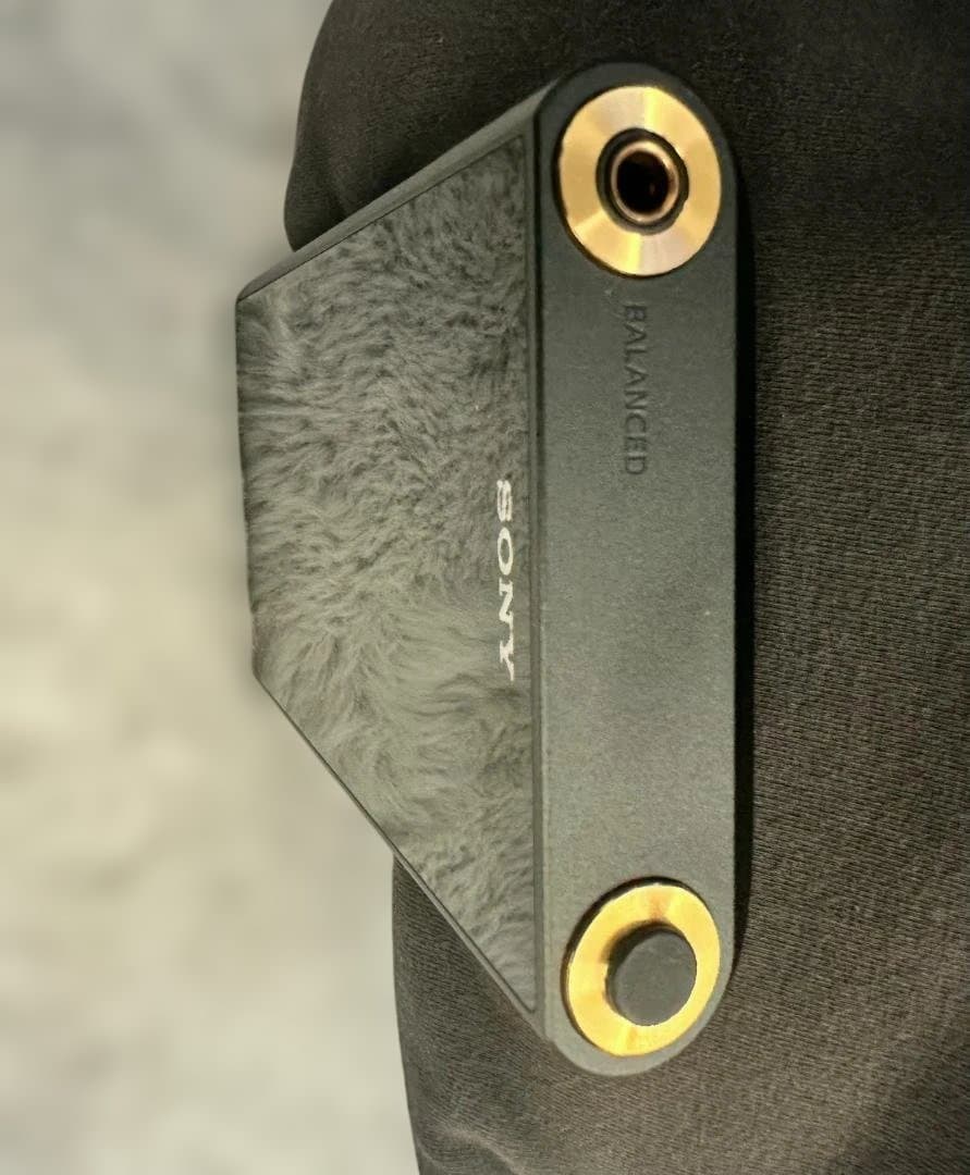 ソニー ウォークマン NW-WM1AM2 ＋純正レザーケース