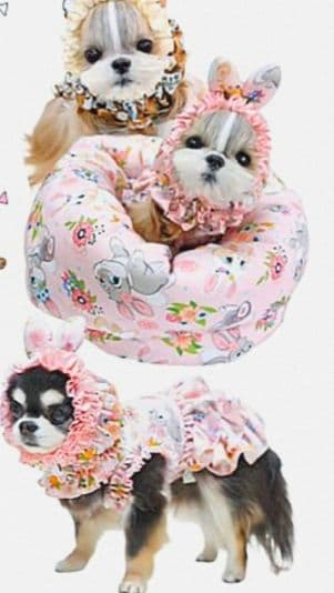 B　XS4点セット+クッション　サーカスサーカスCIRCUSCIRCUS