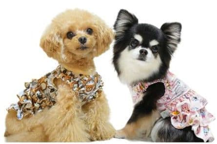 B　XS4点セット+クッション　サーカスサーカスCIRCUSCIRCUS