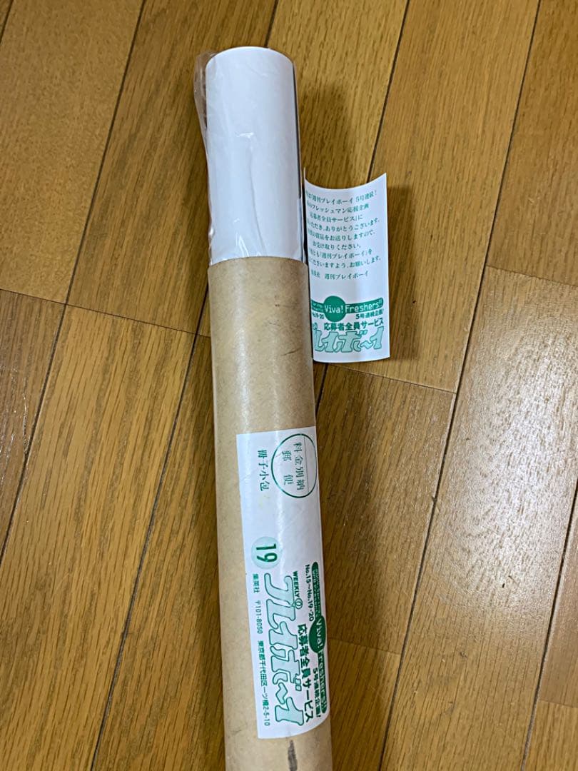 【新品】磯山さやかポスター ★プレイボーイ等身大ポスター