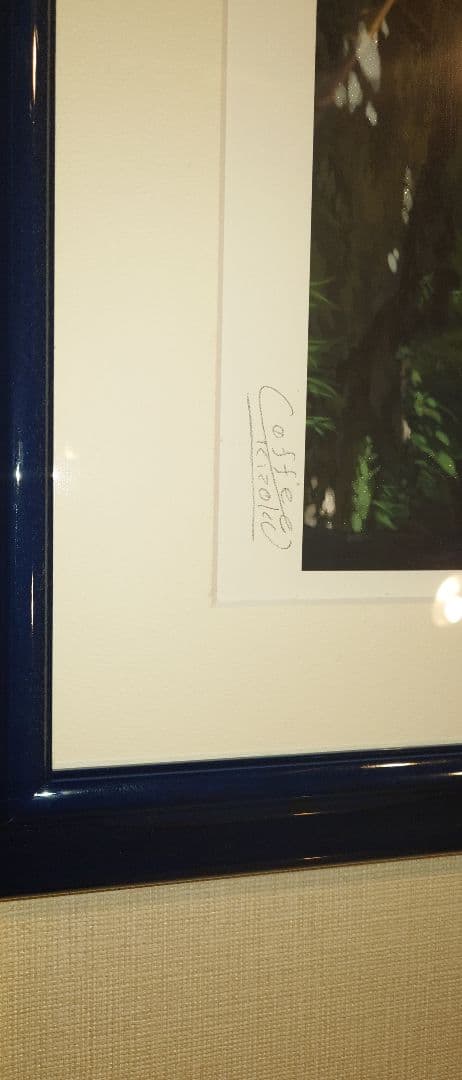 珈琲貴族氏 版画 夏の扉 アールビバン ミクスドメディア