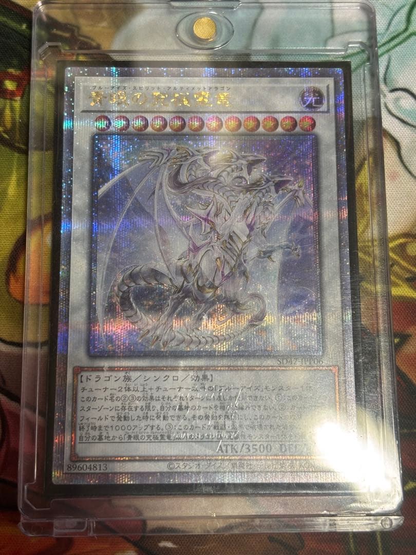 遊戯王　青眼の究極霊竜 25thシク 極美品