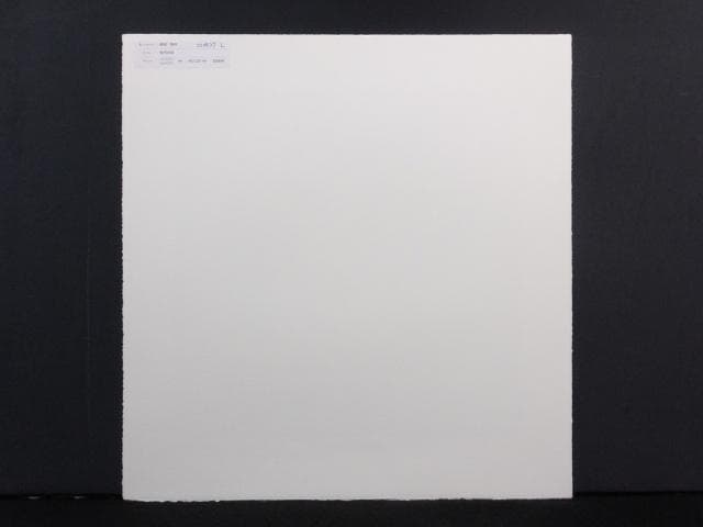 前田常作 直筆サイン『牡丹の図』リトグラフ＆シルクスクリーン シート0829L