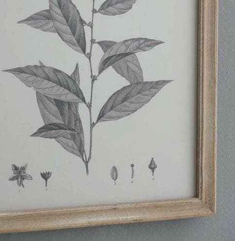 額絵 植物 アートフレーム 4枚セット ボタニカル ナチュラル AN-80196