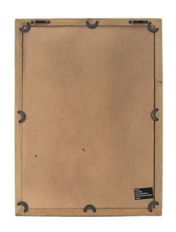 額絵 植物 アートフレーム 4枚セット ボタニカル ナチュラル AN-80196