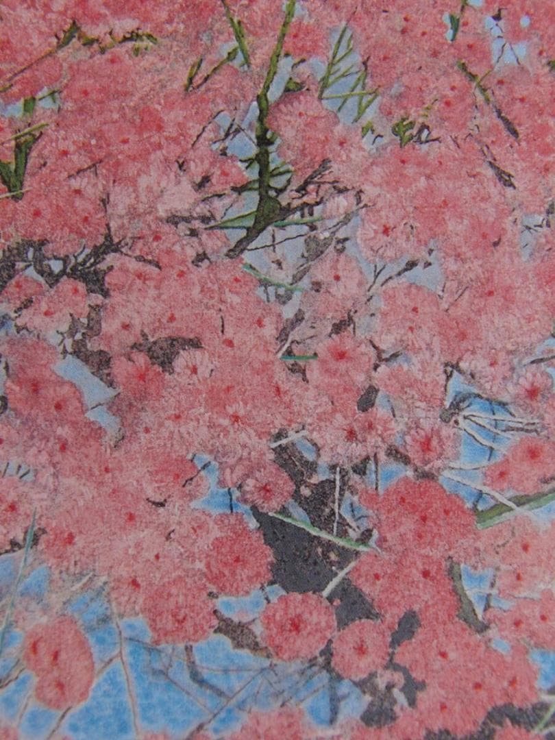 小谷津雅美、「花遊悠」、希少画集・額装画、日本製・新品額縁にて額装致します