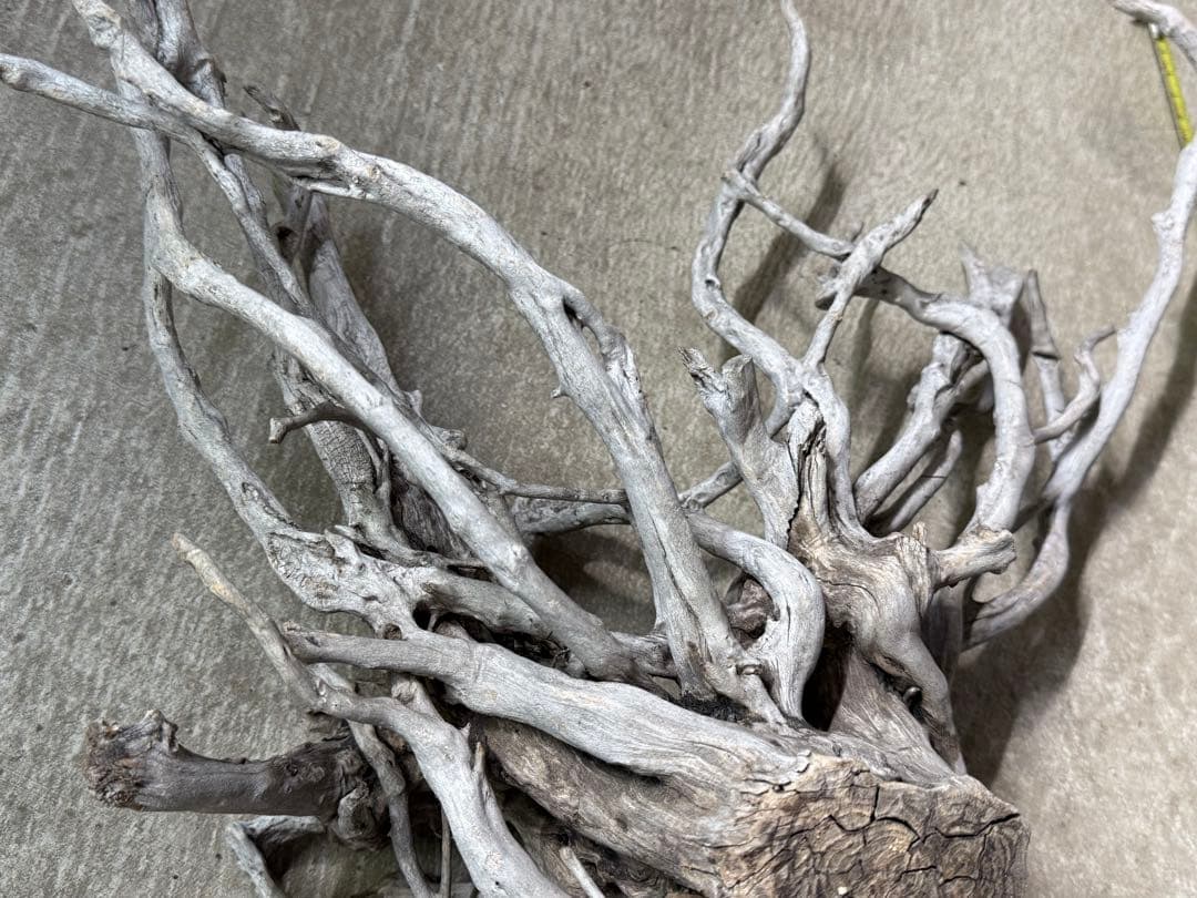 ADA ブランチウッド 白