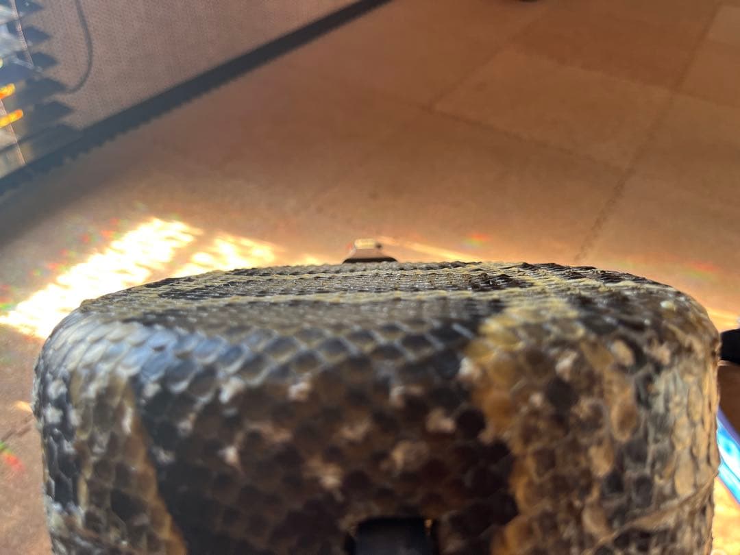 沖縄　伝統工芸士製作三線　カミゲン一枚貼り(本張)(製作証明あり)