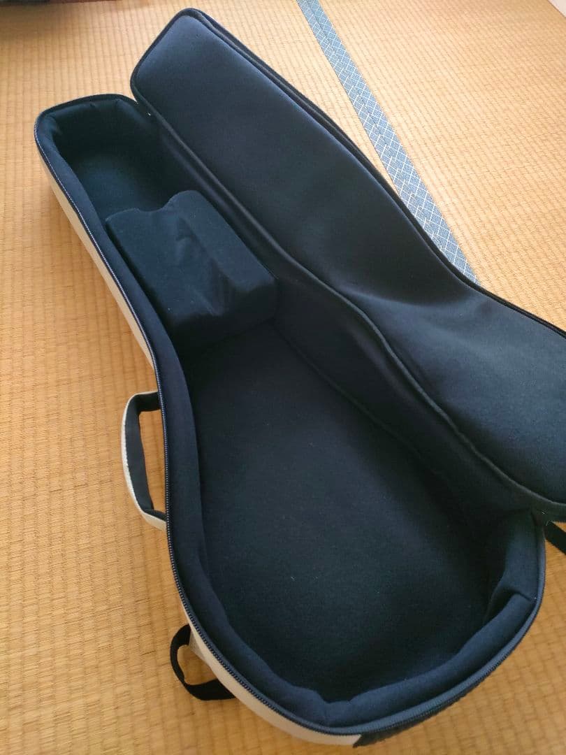 【美品】Gold Tone　AC-4IT　アイリッシュテナーバンジョー