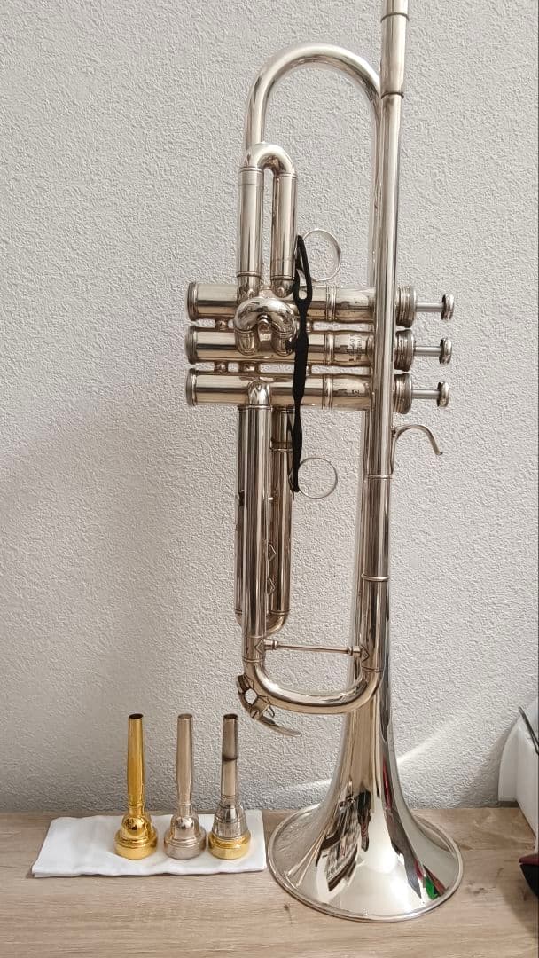 ヤマハトランペット YTR8335RG