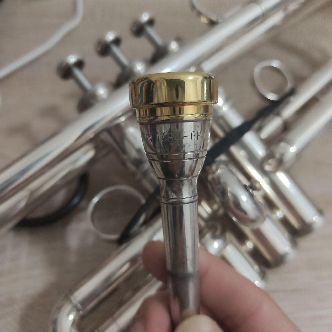 ヤマハトランペット YTR8335RG