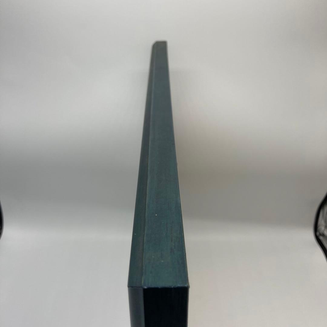 【レア】　モルフォ蝶　アート　標本　芸術　コレクション　海外　昆虫 13上