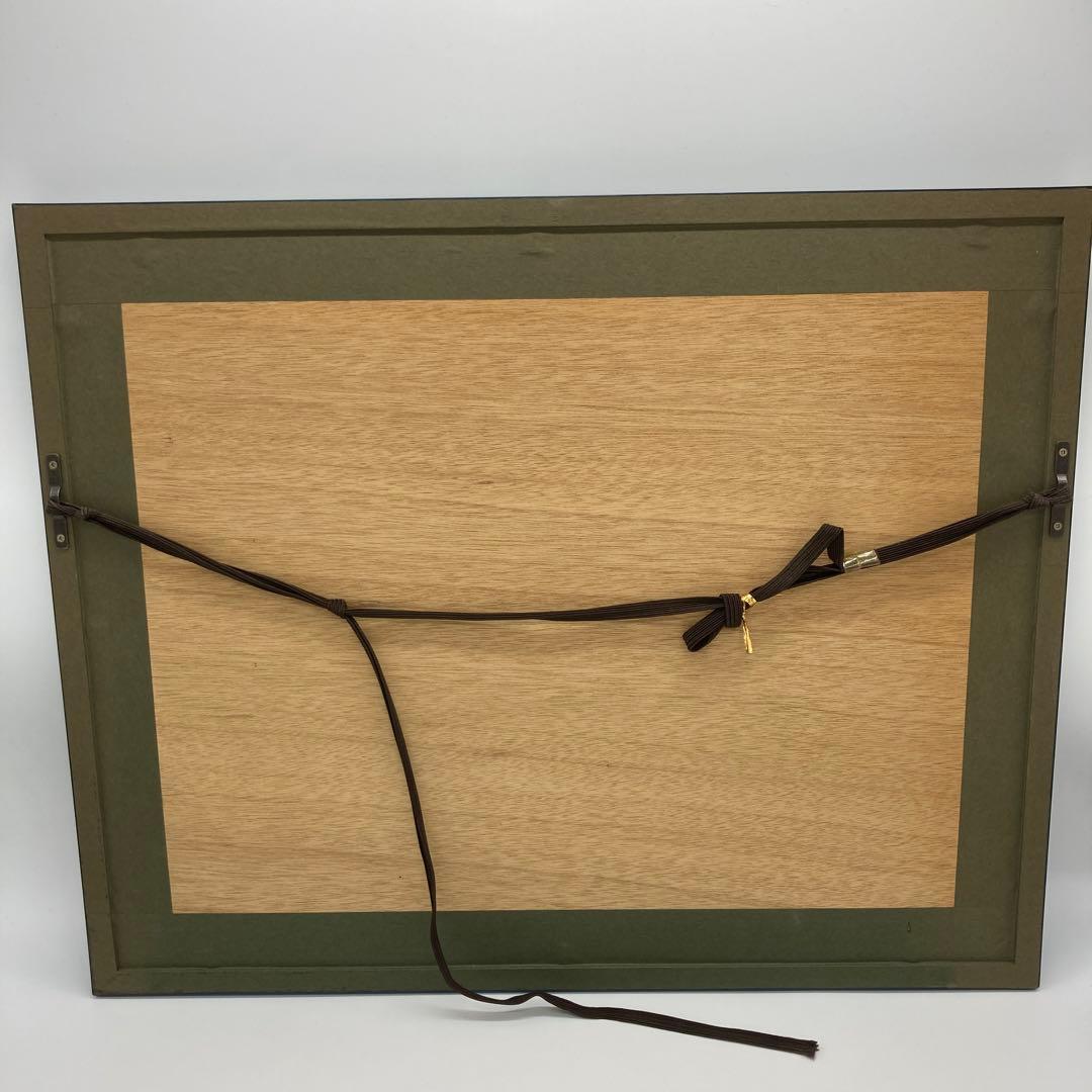 【レア】　モルフォ蝶　アート　標本　芸術　コレクション　海外　昆虫 13上