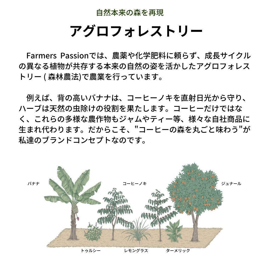 ○オーガニックコーヒー アメリカン フェアトレード 1kg コーヒー豆 ネパール