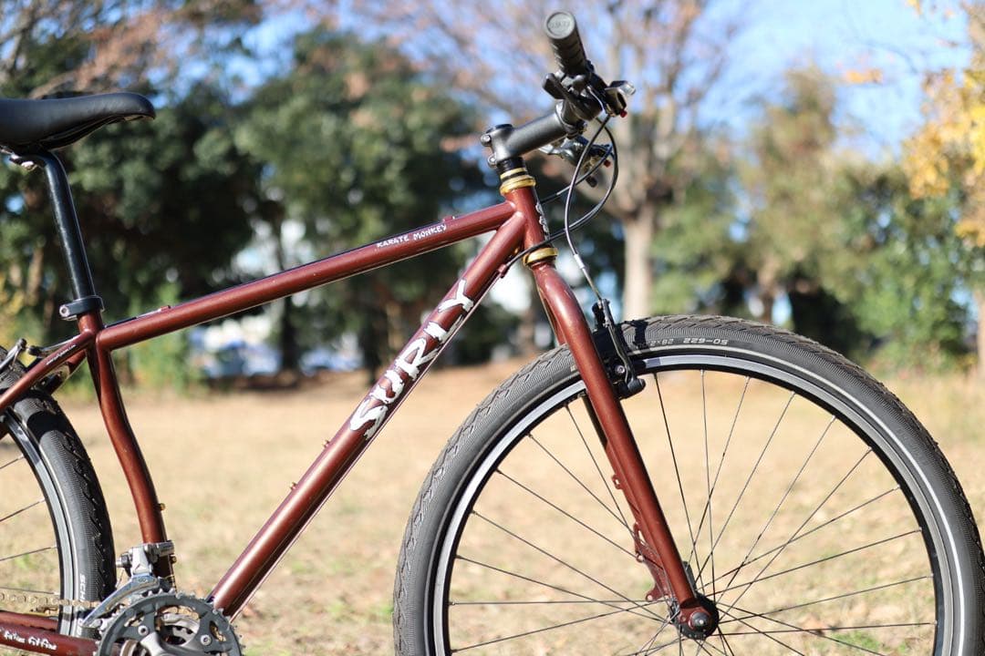 Surly Karate Monkey サーリー カラテモンキー ブルーラグ