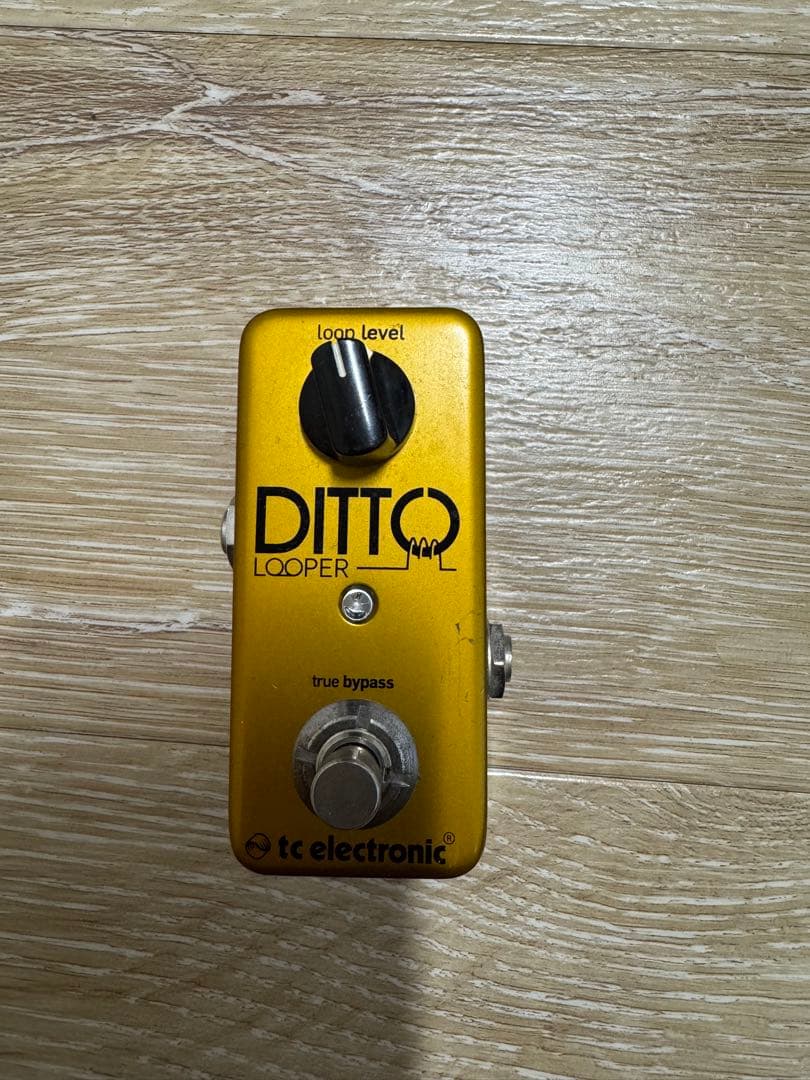 ギター tc electronic DITTO LOOPER Gold Limited