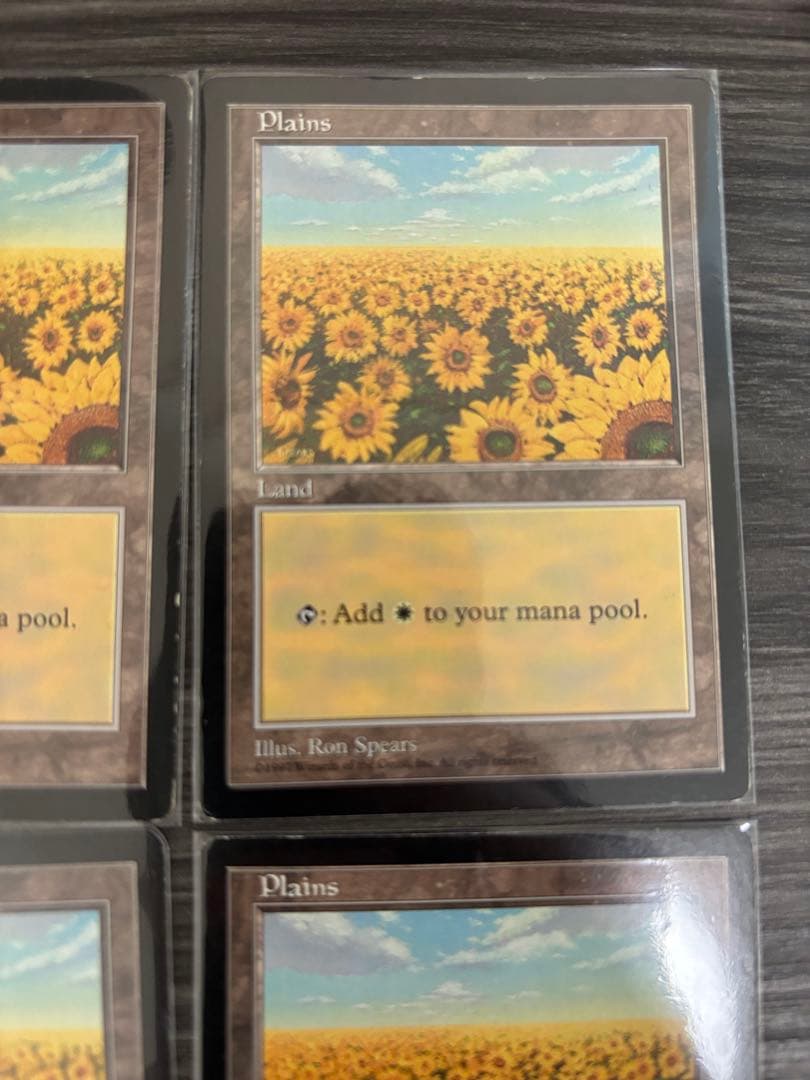 MTG APACランド 平地 ひまわり 6枚セット