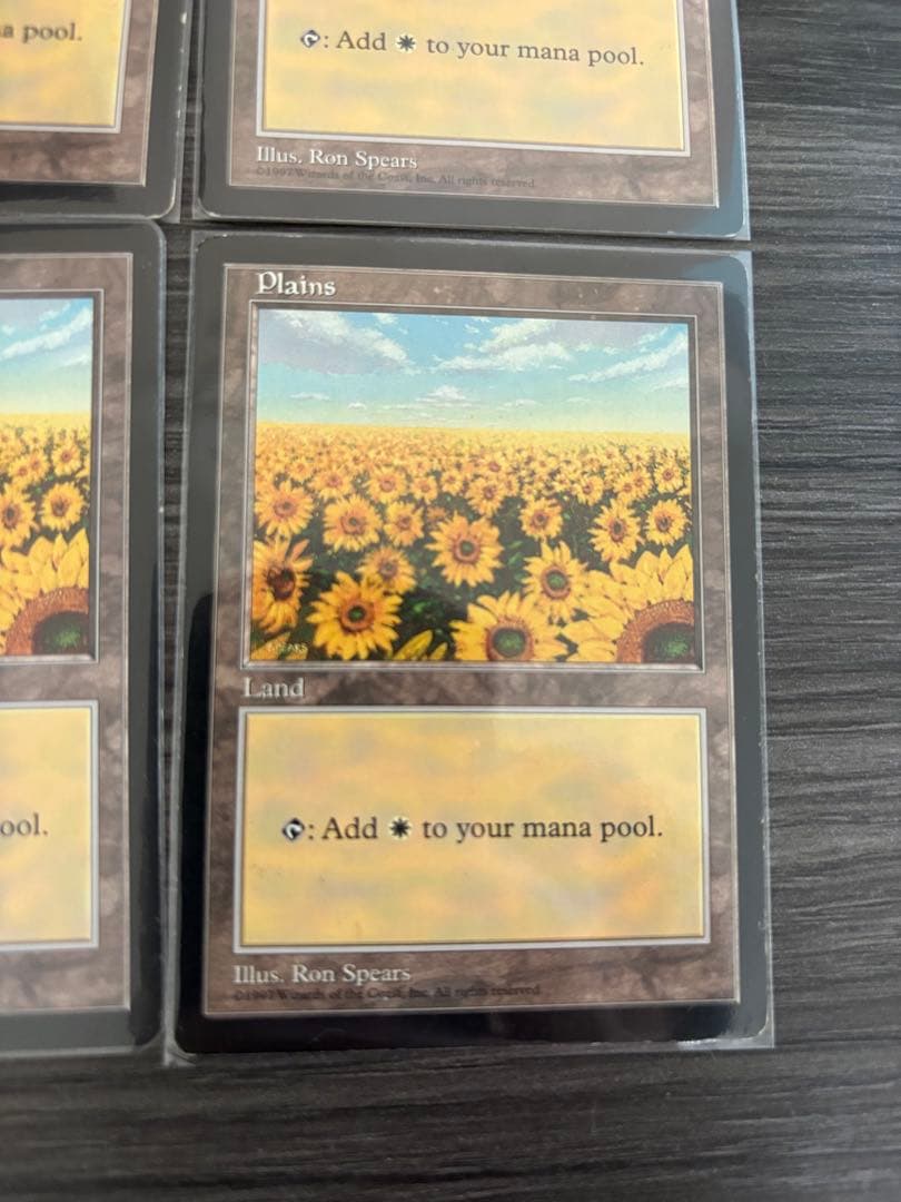 MTG APACランド 平地 ひまわり 6枚セット