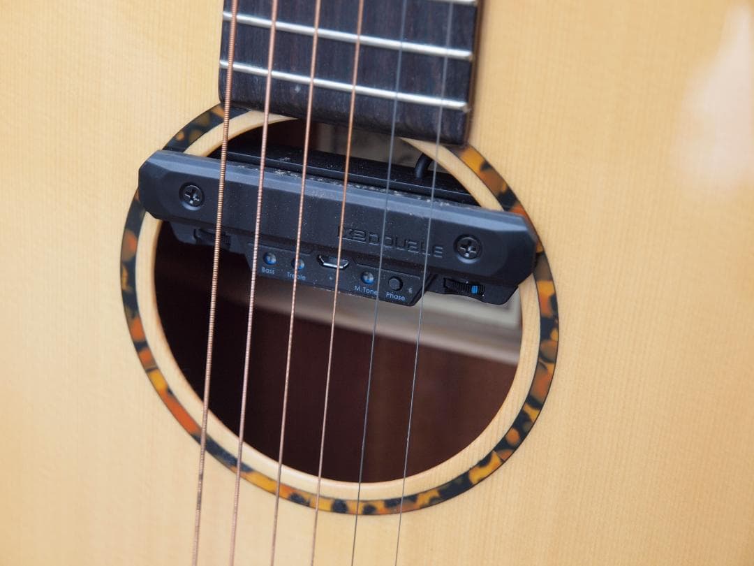 Recording King アコースティックギター RO-G6