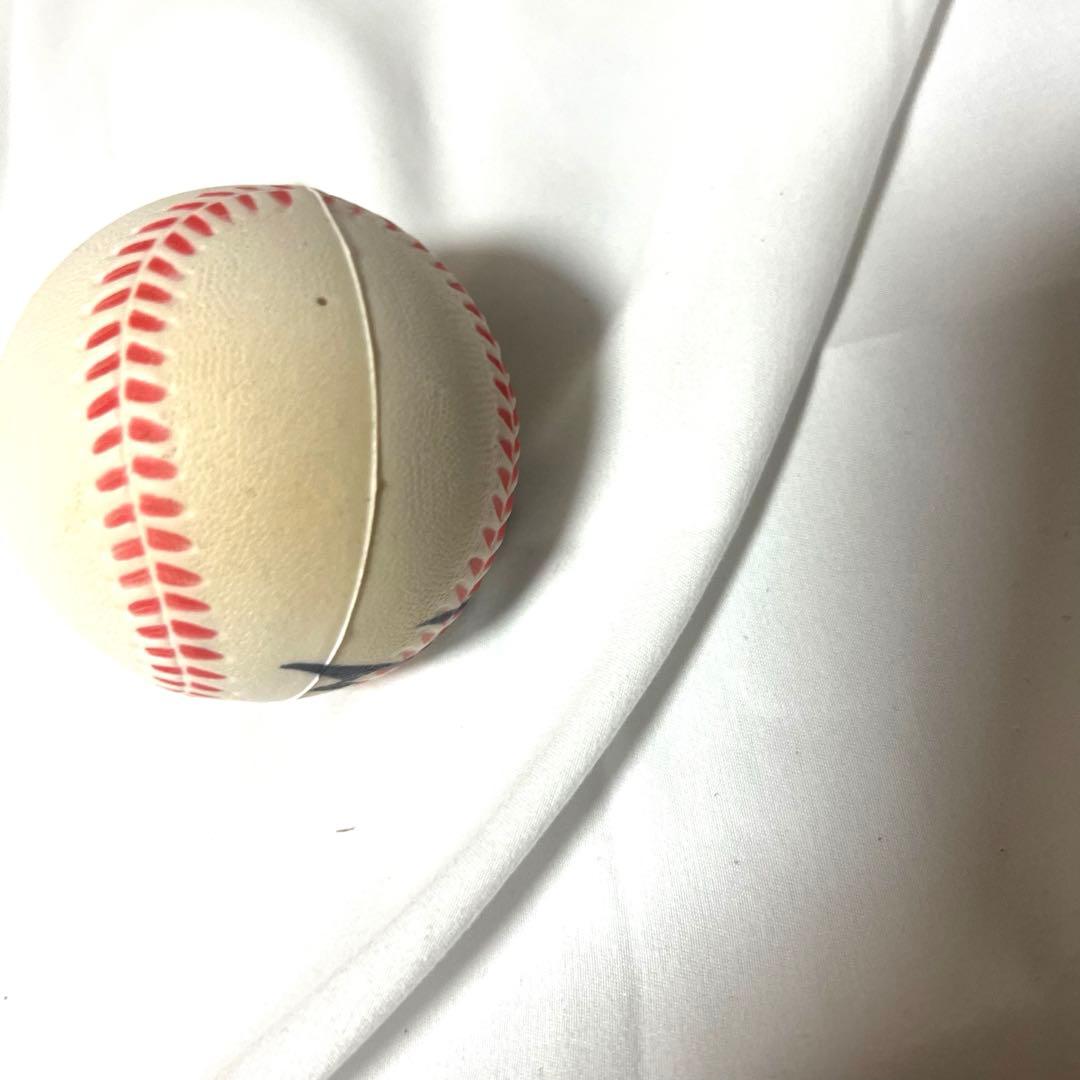 【世界に77個限定】水樹奈々　サイン　ボール　【訳あり】　声優　グッズ