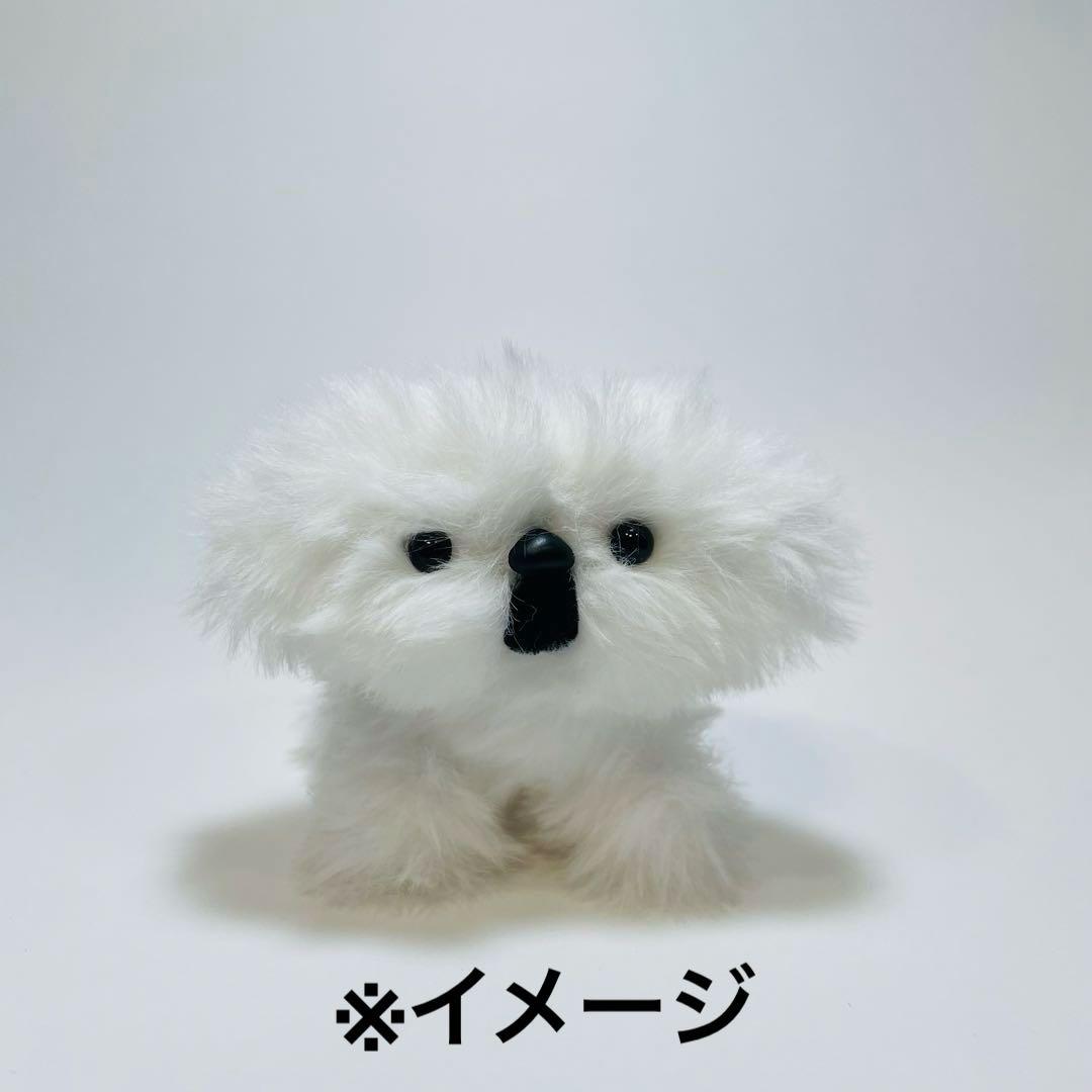 【専用出品】ぽっちゃん様