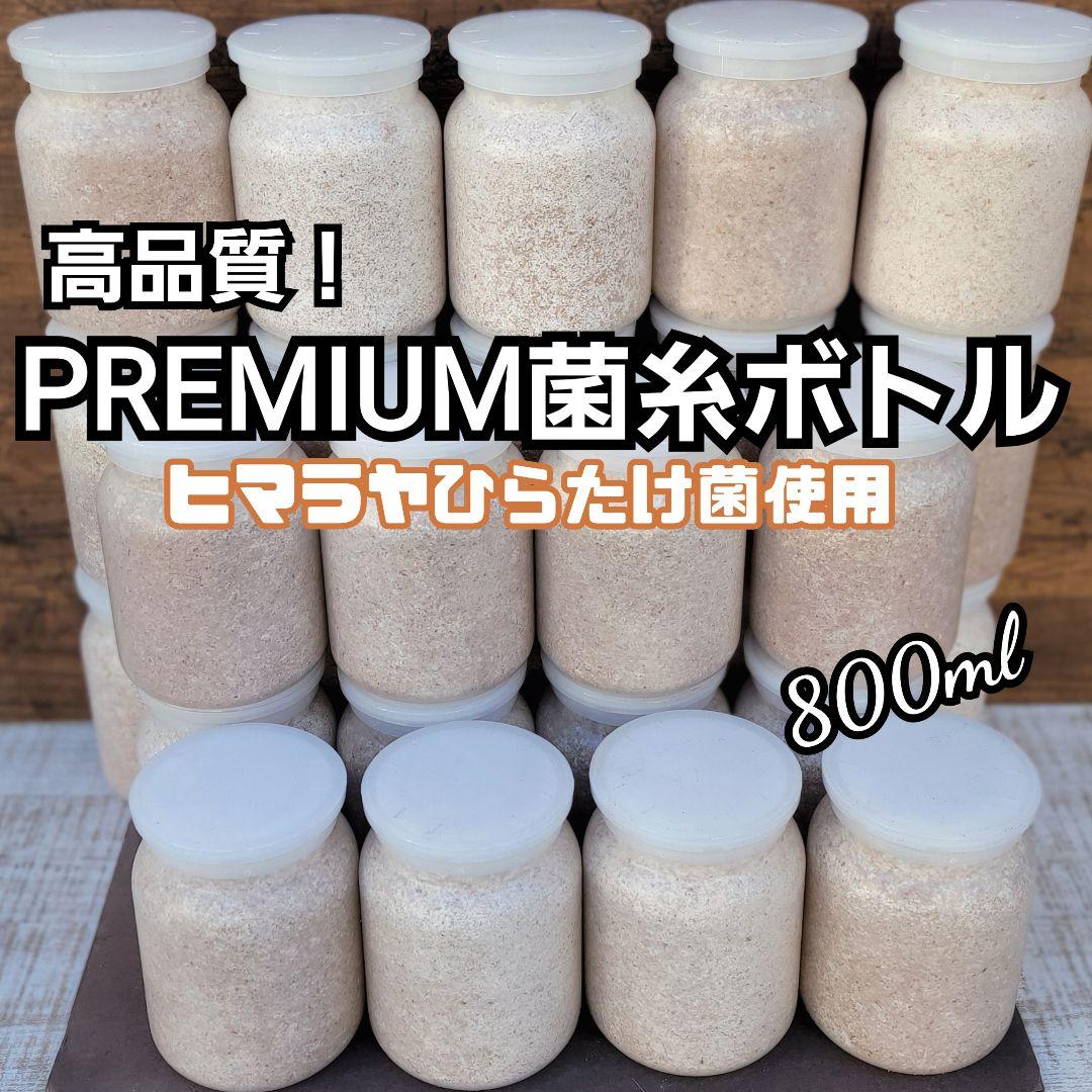 極上！ヒマラヤひらたけ菌糸瓶　800ml【10本】ニジイロクワガタにお薦め！