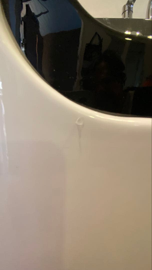 【わんとも】ペット用バスタブ