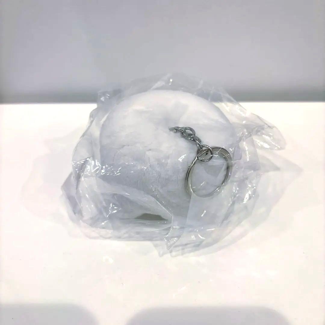 Ado こんにちは！はちゃんです