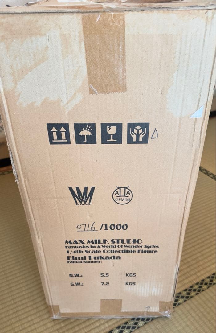 未開封品　深田えいみ『異世幻想』魅魔　フィギュア　Succubus サキュバス