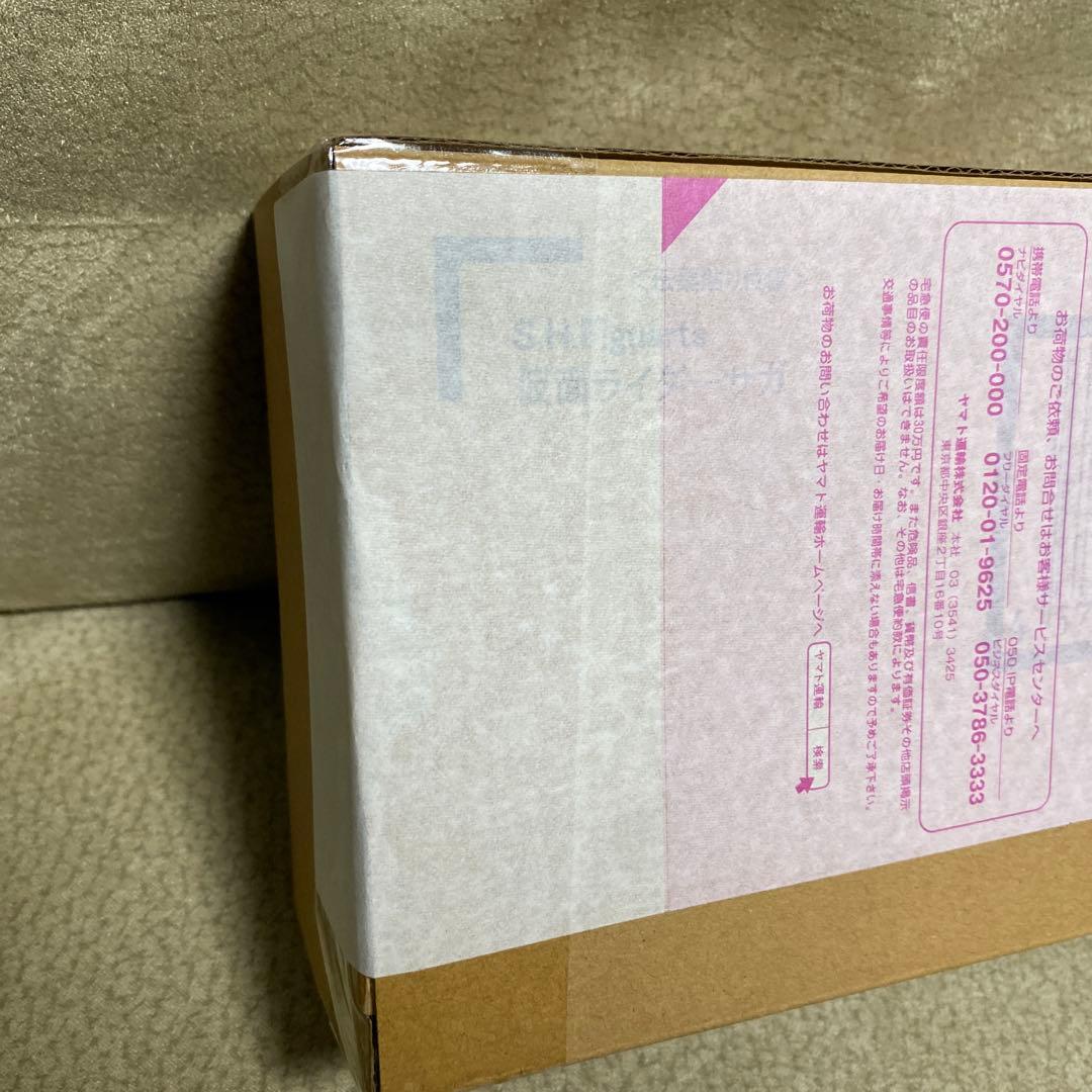 SHFiguarts 真骨彫製法　仮面ライダーサガ