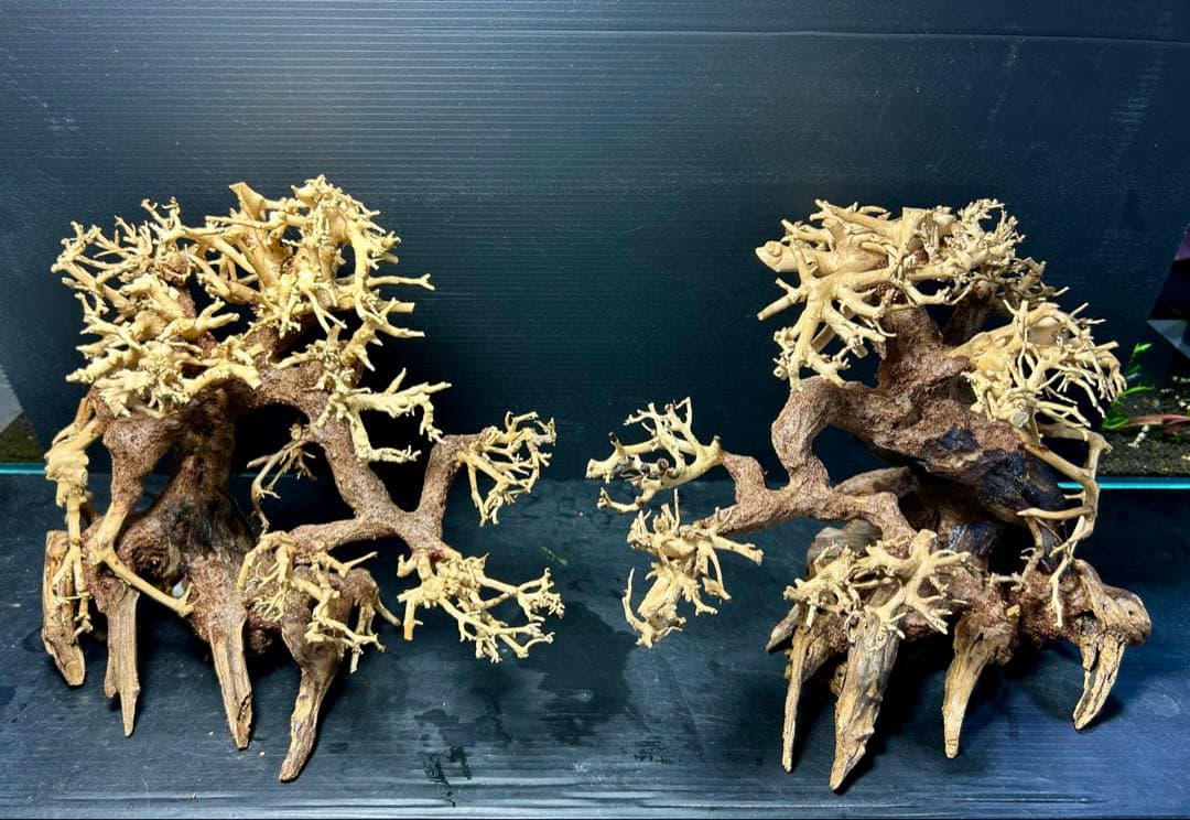 2本セット！盆栽流木Ｌサイズ