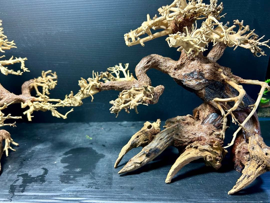 2本セット！盆栽流木Ｌサイズ