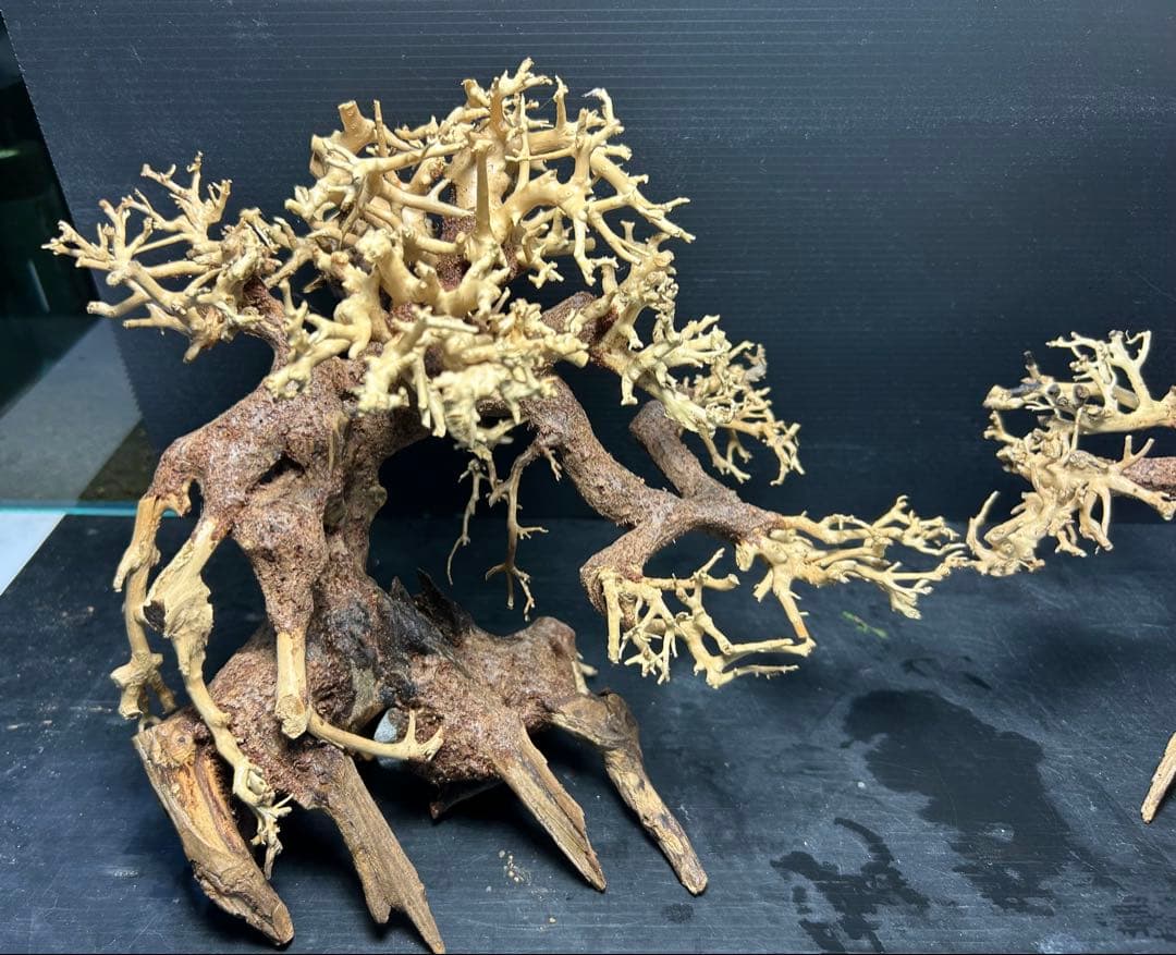 2本セット！盆栽流木Ｌサイズ