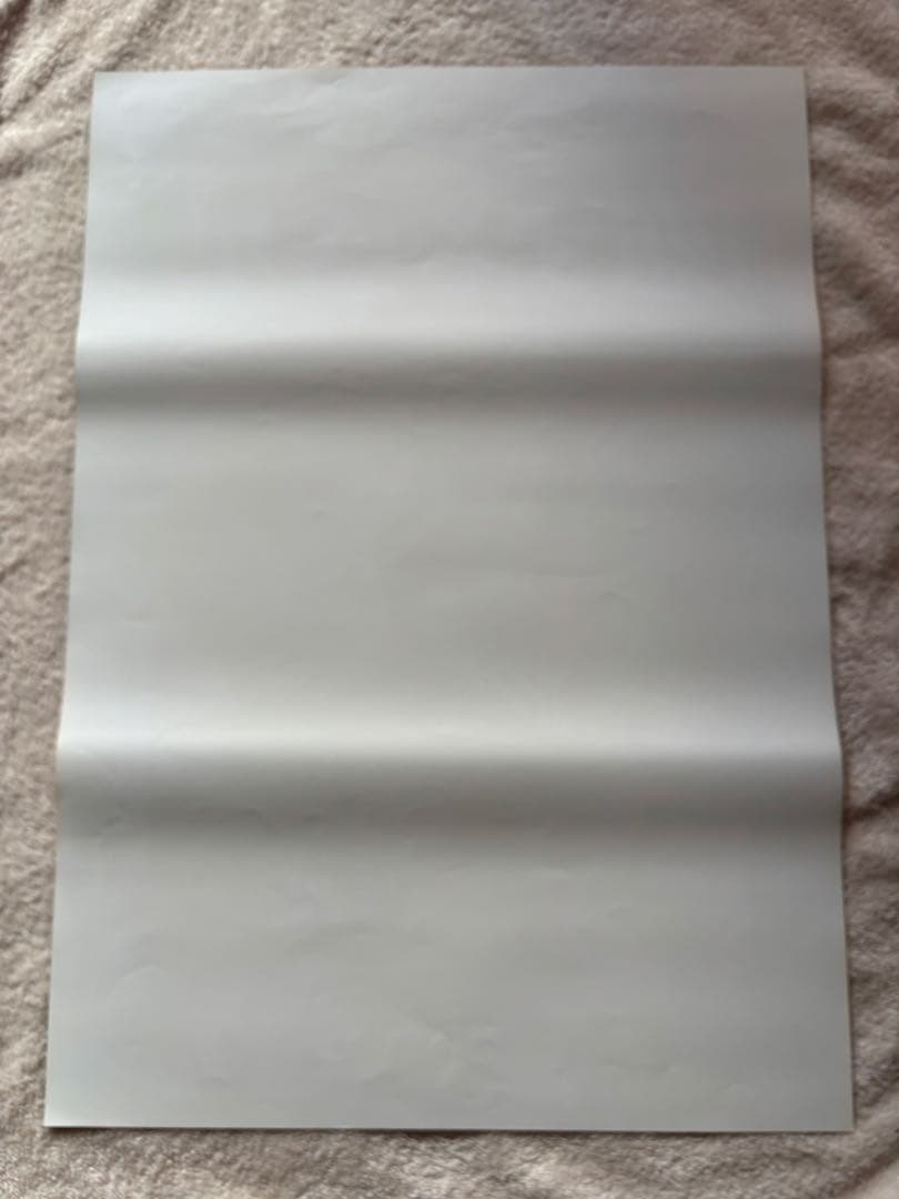 【恋する惑星】ウォン・カーウァイ監督 日本劇場版　当時品 B2判映画ポスター