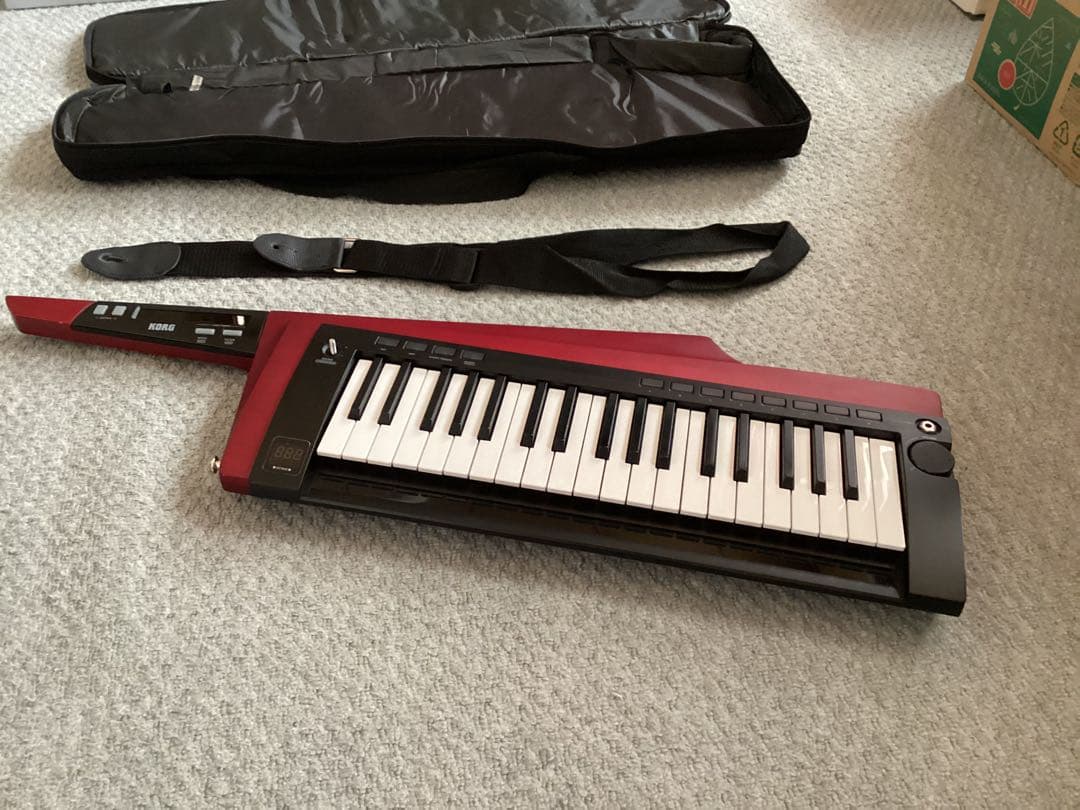 KORG DS-1 電子ピアノ キャリングケース付き