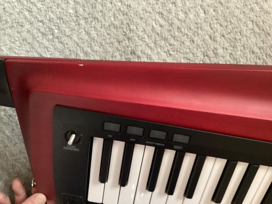 KORG DS-1 電子ピアノ キャリングケース付き