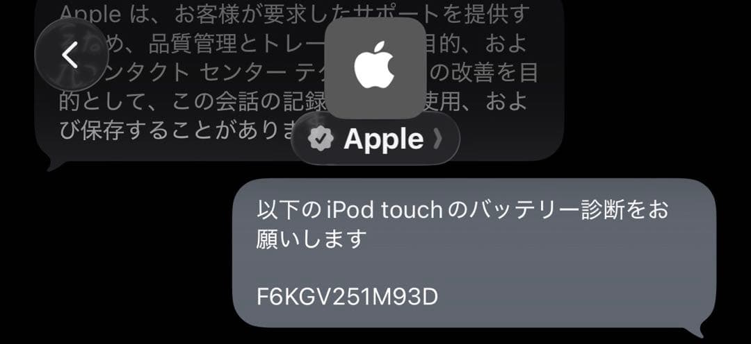 【即日発送】【美品】【動作確認済】iPod Touch 第7世代