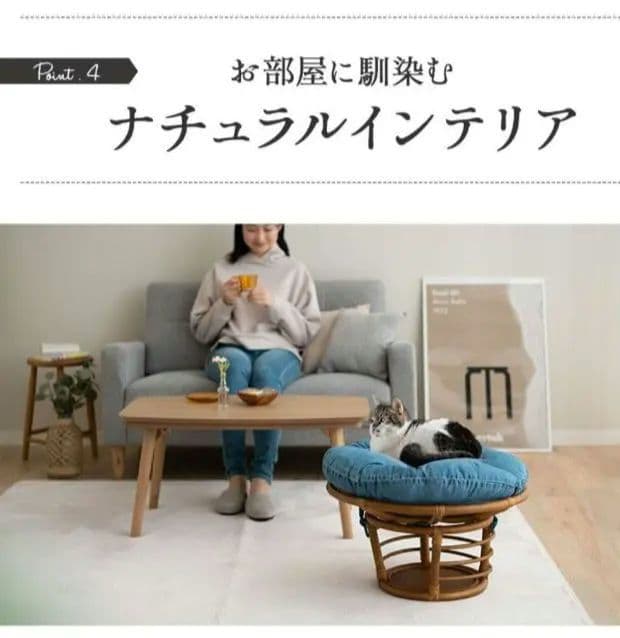 ラタン製　円形ベッド　猫　クッション付き