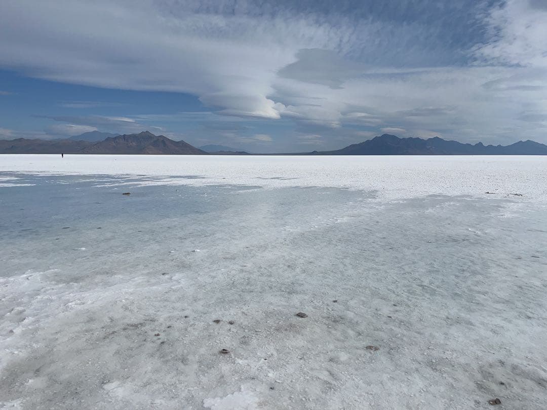 mii＊　ニュースキン　エクストラミルクスキン2セット