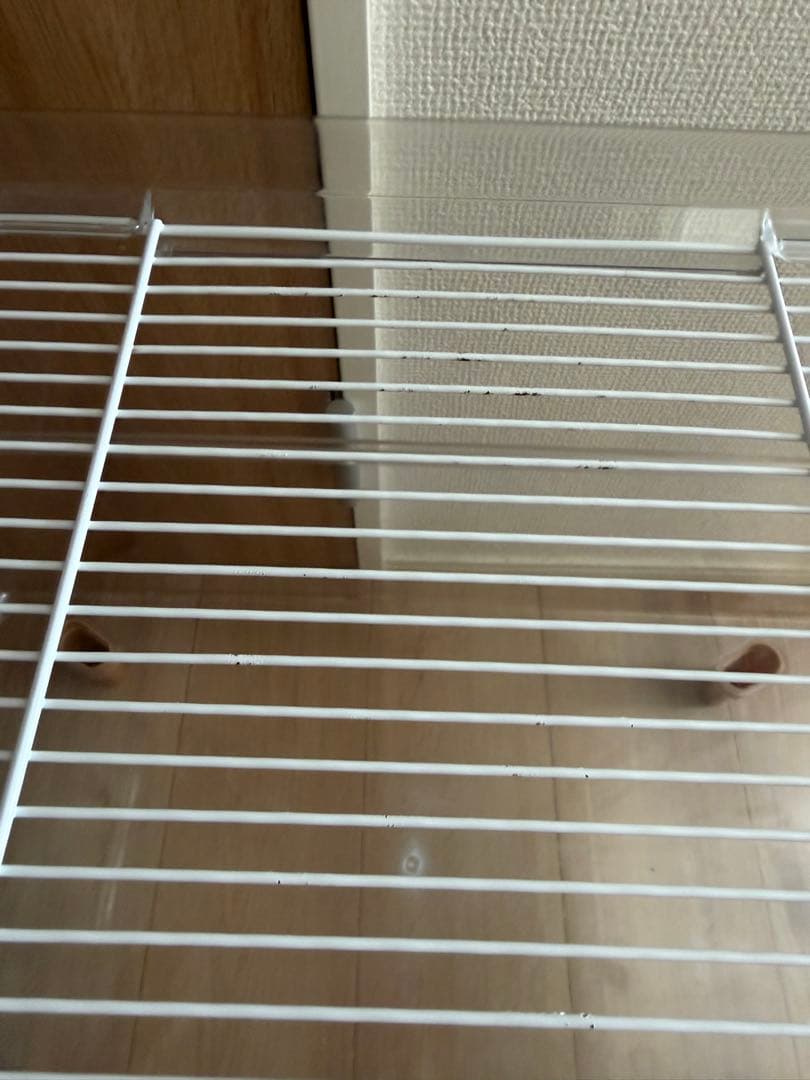 BUCATSTATE ケージ セット