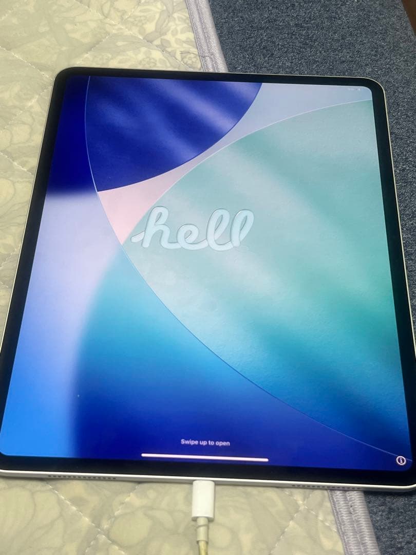 iPad Pro シルバー 本体M42024年256GB バッテリー容量99%