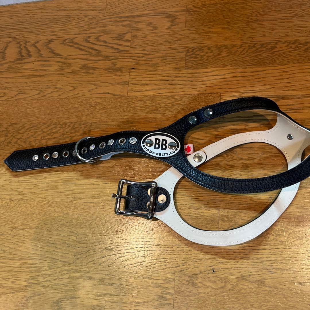 BUDDY BELT バディベルト　ブラック5