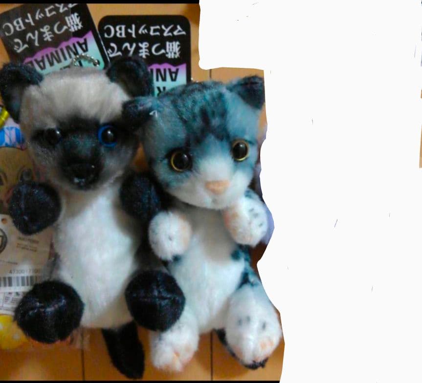 鬼滅の刃 甘露寺蜜璃 コンテナ BOX ボックス 収納　他全9点 セット　⑥