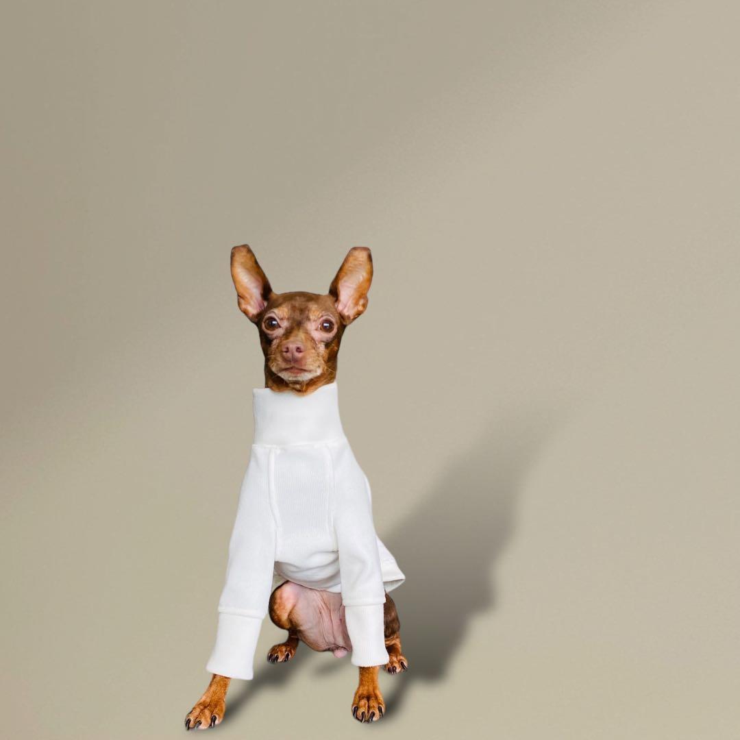 ⑭アラン風ニットトップス