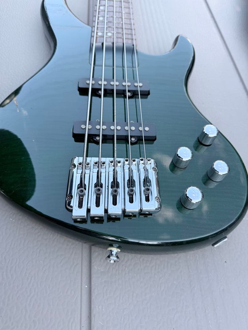 Chatting Bird チャッティングバード5弦エレキベース ギグバッグ付き